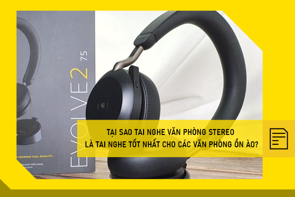 Tại sao tai nghe văn phòng stereo là tai nghe tốt nhất cho các văn phòng ồn ào?